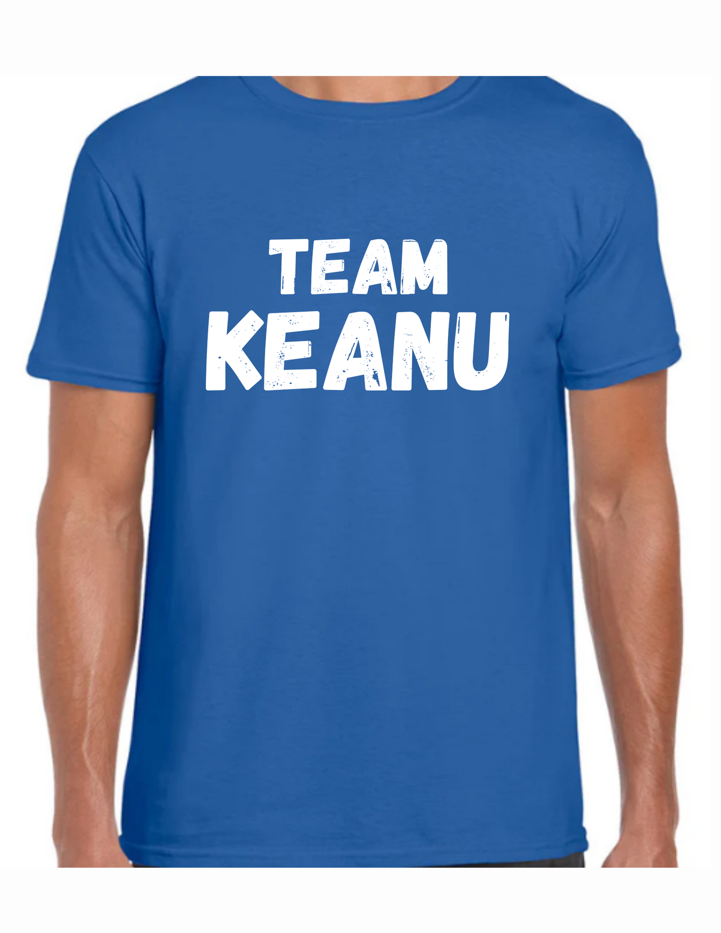 " I believe you have a prompt" - TEAM KEANU